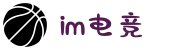 IM(股份有限公司)电竞-电子竞技平台